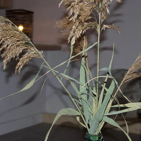Maison Georges Couthon Bed & Breakfast *